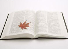 波尔多队成功挺进胜利关键时刻