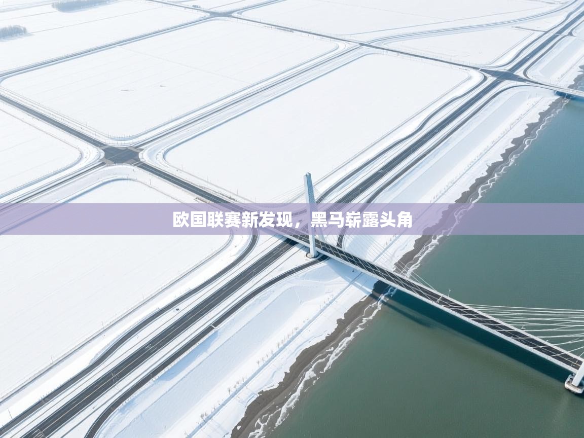 欧国联赛新发现,黑马崭露头角 第1张