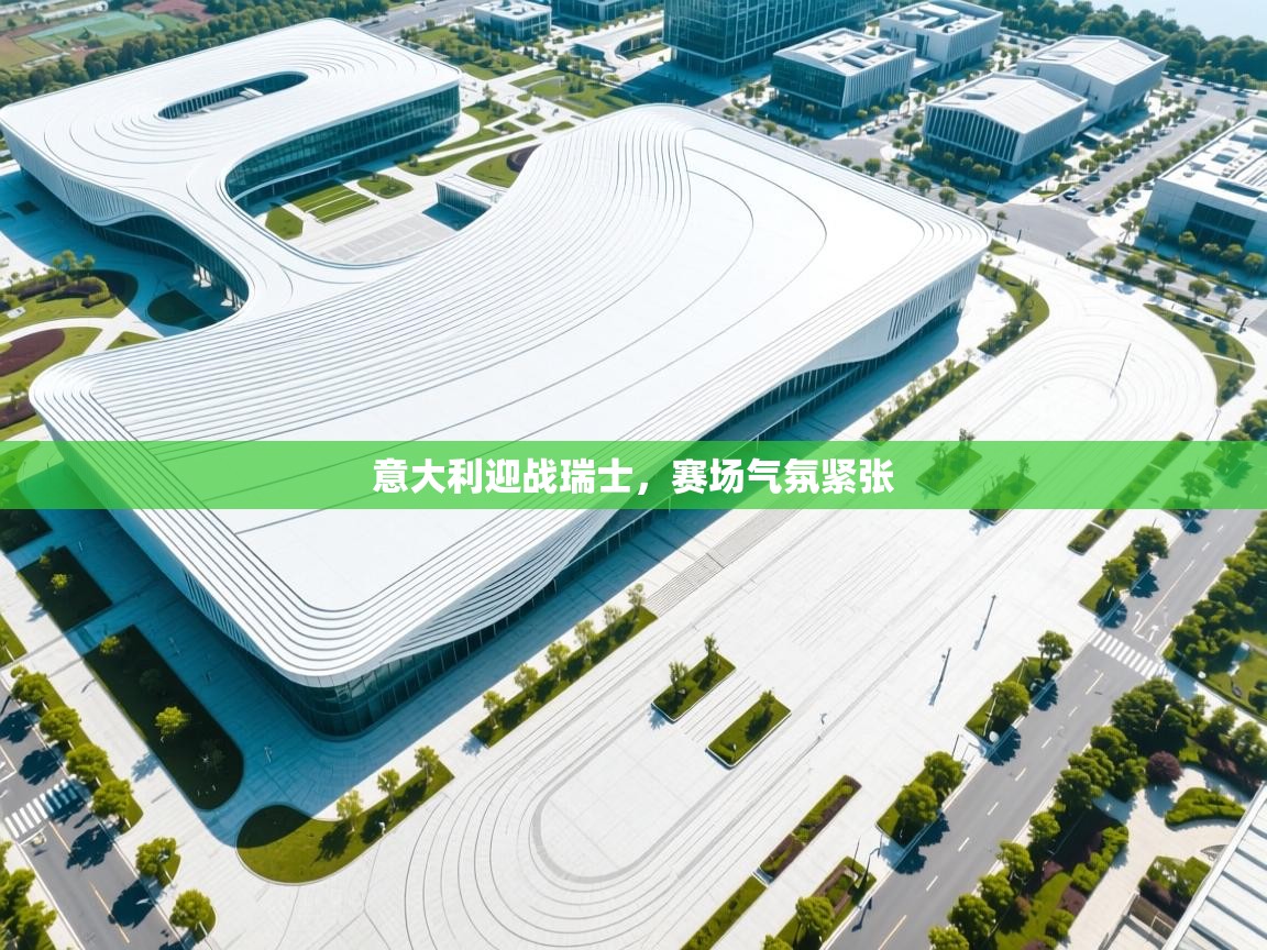 意大利迎战瑞士，赛场气氛紧张