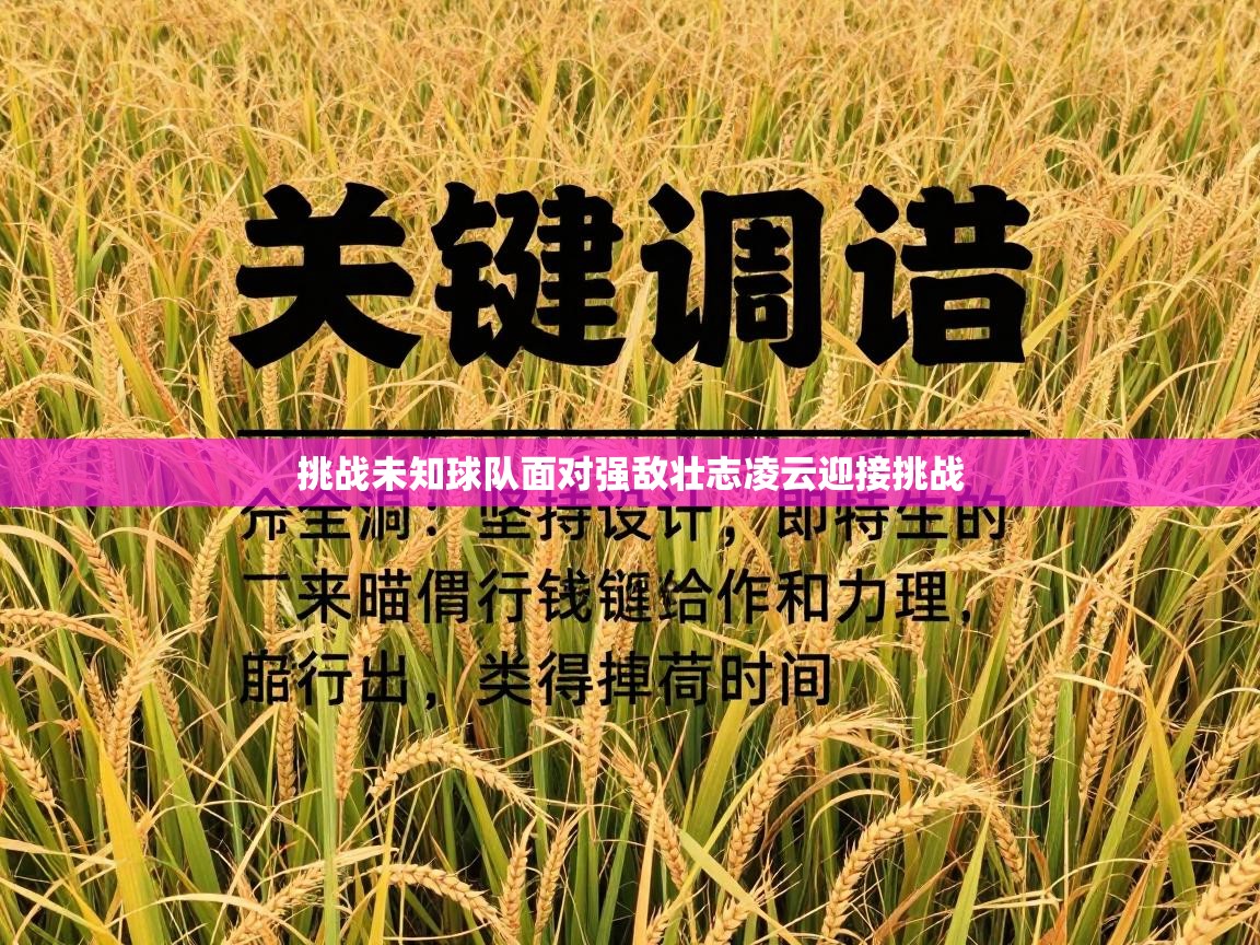 挑战未知球队面对强敌壮志凌云迎接挑战 第2张
