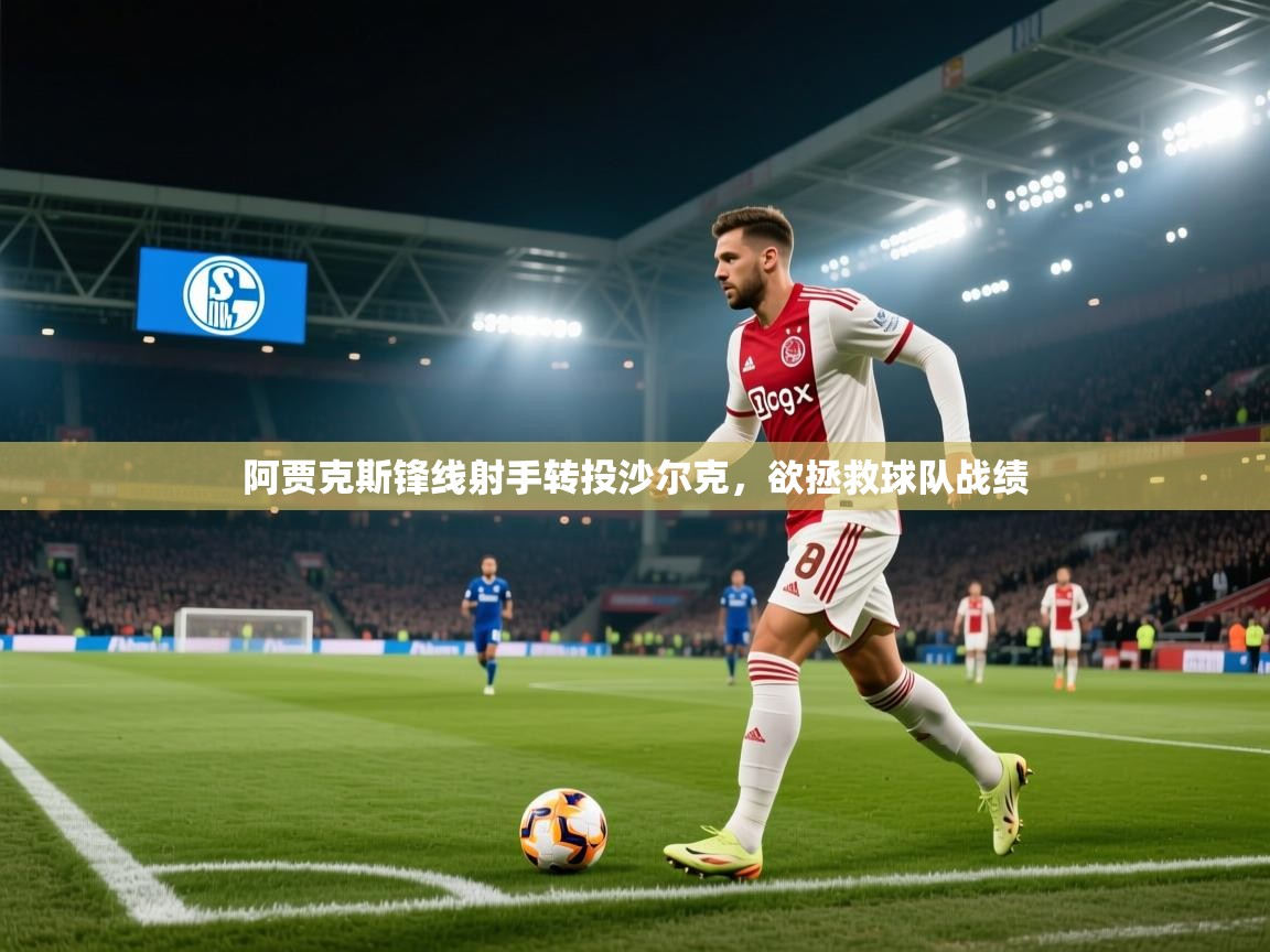 阿贾克斯锋线射手转投沙尔克，欲拯救球队战绩  第2张