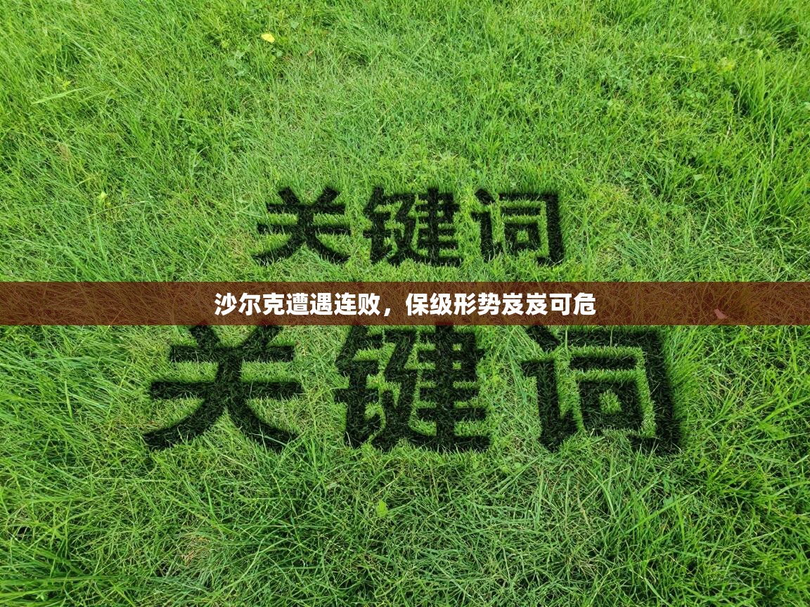 沙尔克遭遇连败,保级形势岌岌可危 第1张
